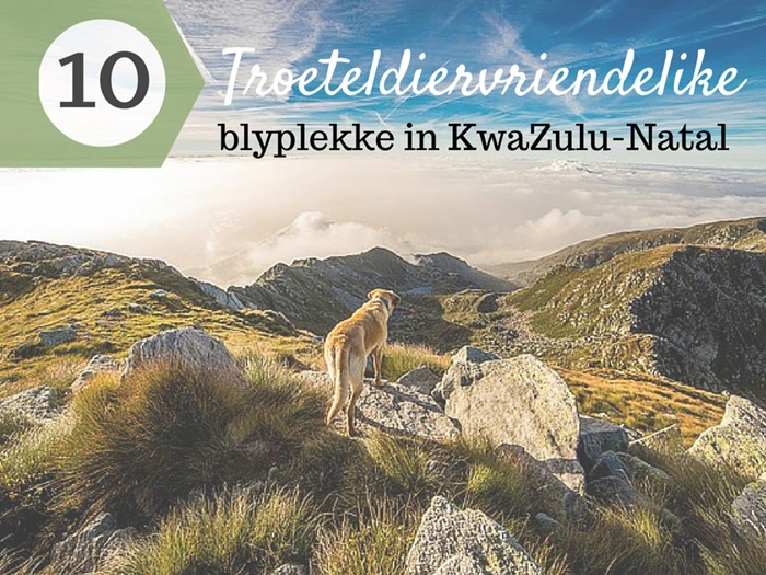 10 Troeteldiervriendelike blyplekke in KwaZulu-Natal