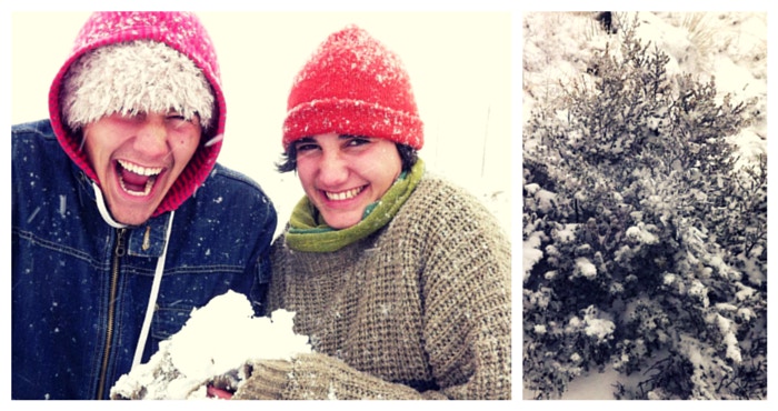 Kom kyk waar SA se sneeu skuil