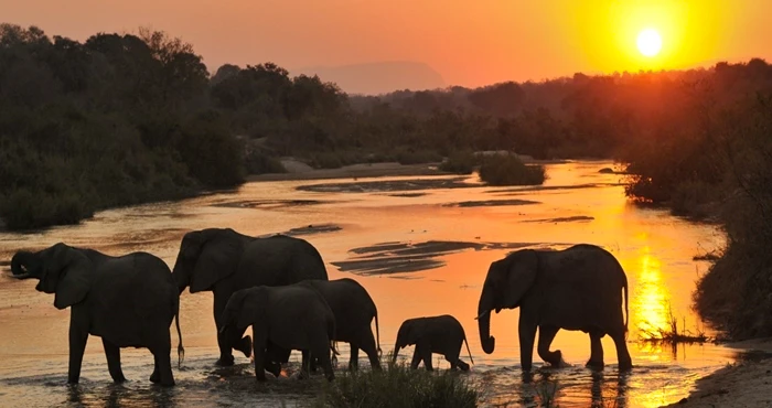 5 Redes vir winter-wildkyk