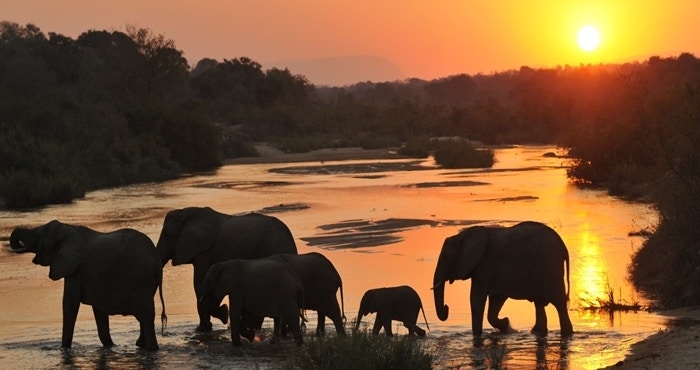 5 Redes vir winter-wildkyk