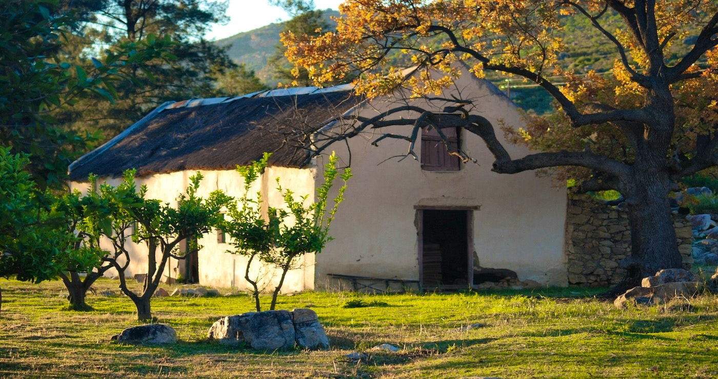 Bovlei Guest Farm