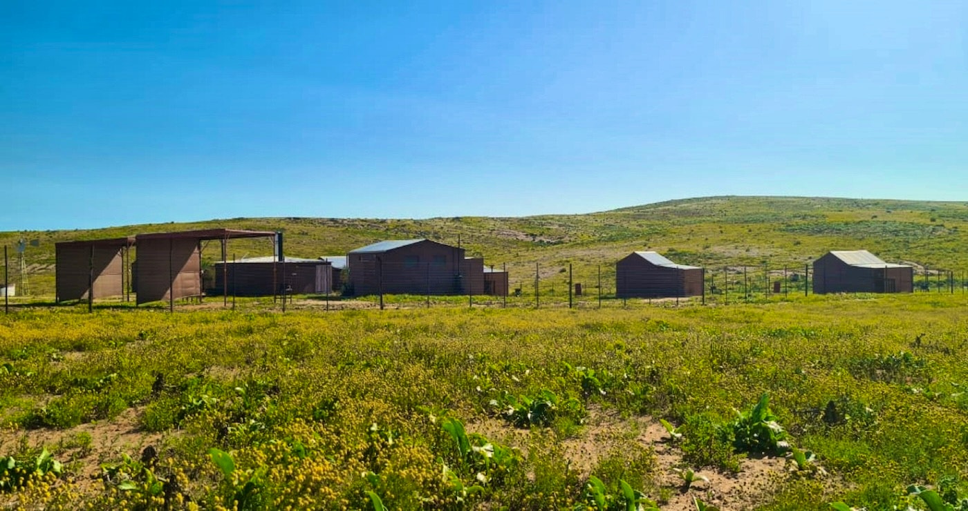 Kallabaskop Eco Lodge