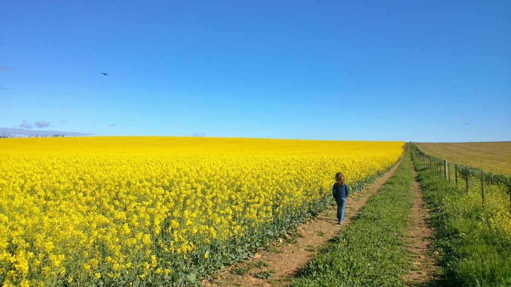 7 Redes om die Overberg in Augustus te besoek