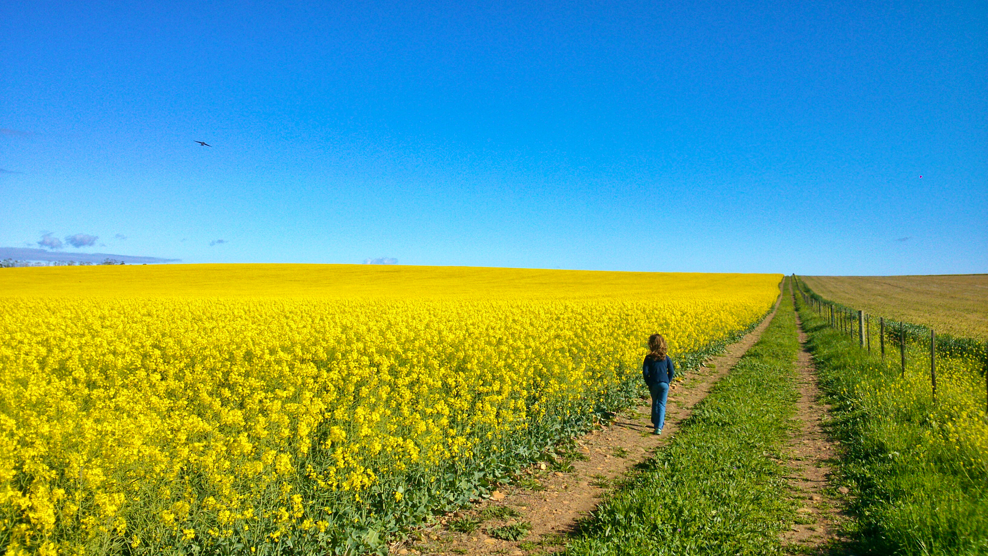 7 Redes om die Overberg in Augustus te besoek