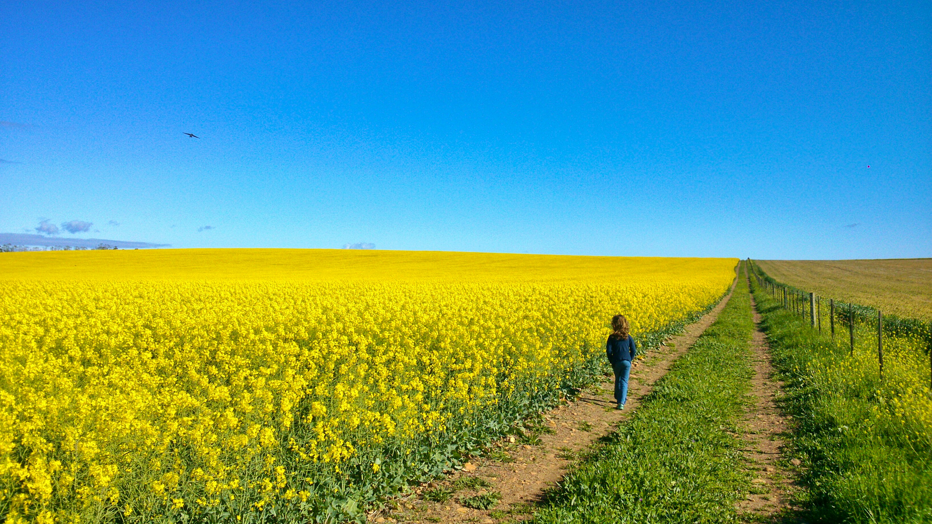 7 Redes om die Overberg in Augustus te besoek
