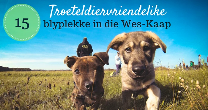 15 Troeteldiervriendelike blyplekke in die Wes-Kaap