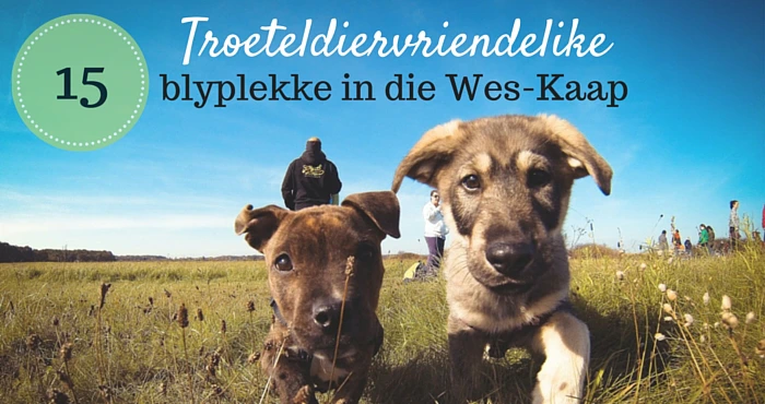 15 Troeteldiervriendelike blyplekke in die Wes-Kaap