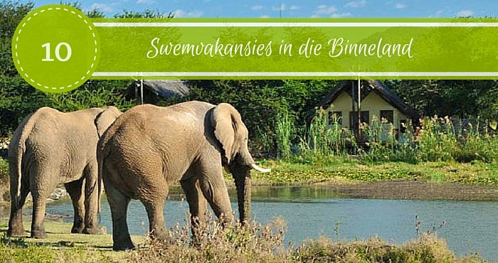10 Swemvakansies in die Binneland