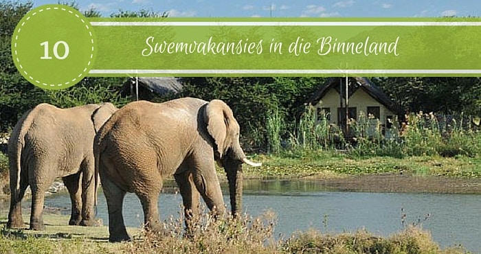 10 Swemvakansies in die Binneland