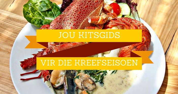 Jou kitsgids vir die kreefseisoen