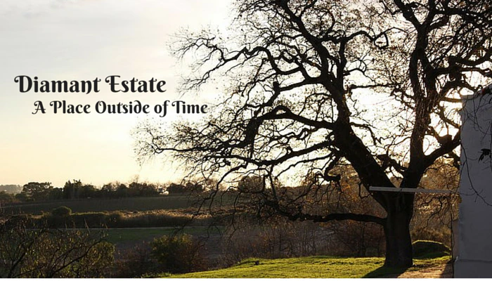 Diamant Estate – A Place Outside of Time