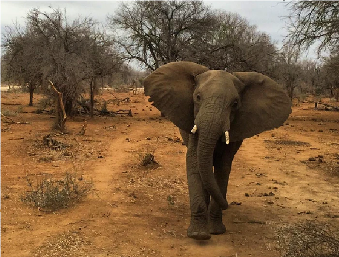 25 of TravelGrounds Favourite Instagram Photos of South Africa