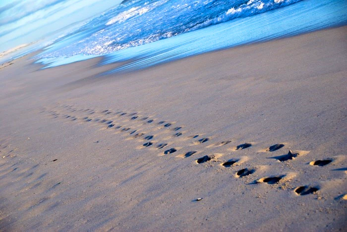 5 Redes vir Alleenreis