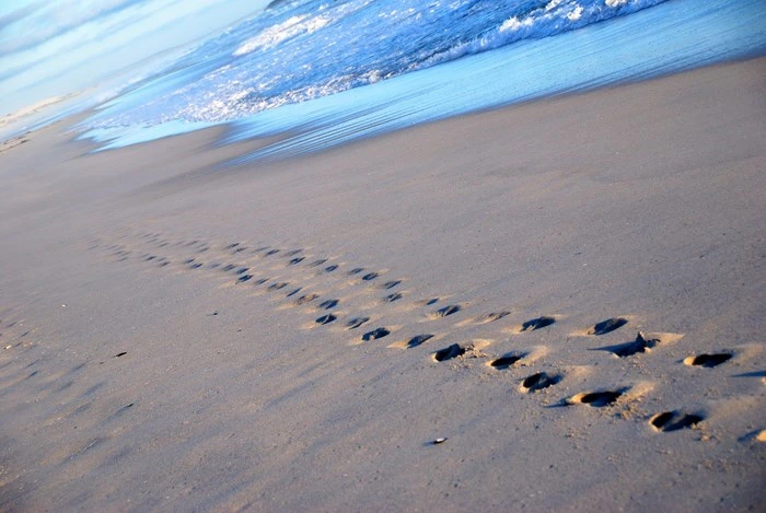 5 Redes vir Alleenreis