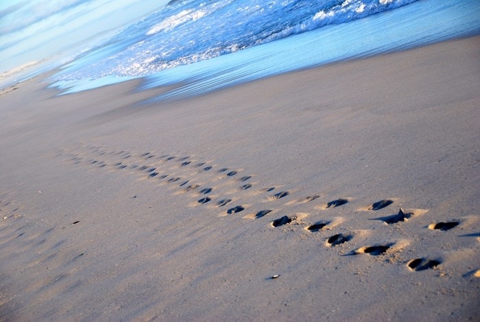 5 Redes vir Alleenreis