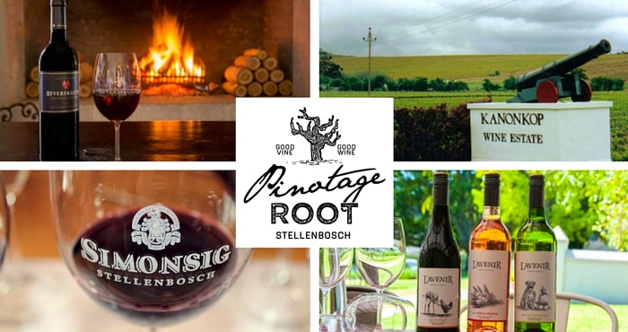 Exploring the heart of the Pinotage Root