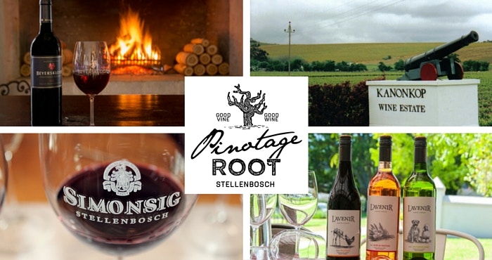 Exploring the heart of the Pinotage Root