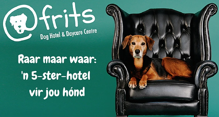 Hondehotel in Kaapstad is 5 sterre werd!