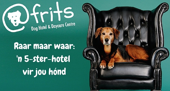 Hondehotel in Kaapstad is 5 sterre werd!