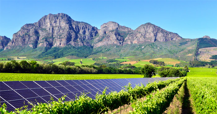 Weekend Festivities at Vrede en Lust Estate