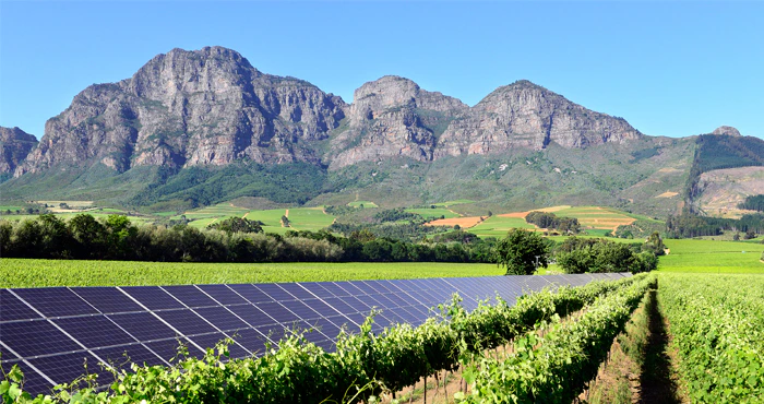 Weekend Festivities at Vrede en Lust Estate