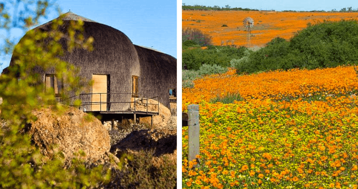 TravelGround accommodation in Namaqualand: Skilpad Farm (right) and Naries Namakwa Retreat (left)