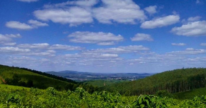 Tzaneen: SA se vrugtemandjie