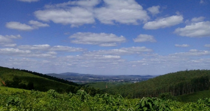 Tzaneen: SA se vrugtemandjie