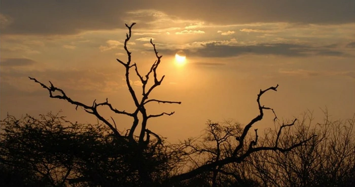 Celebrate spring with a Bushveld Braai