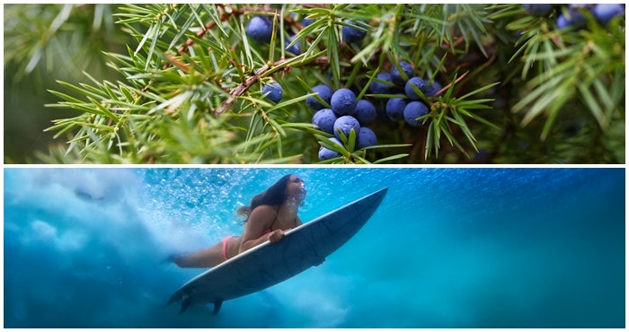 Still Bay: glorious gin and seaside splendour