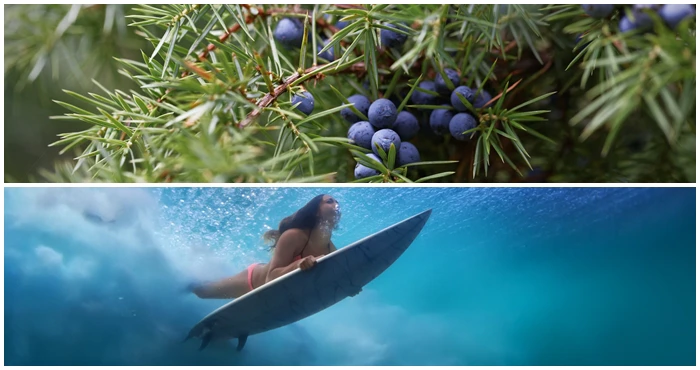 Still Bay: glorious gin and seaside splendour