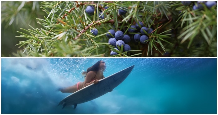 Still Bay: glorious gin and seaside splendour