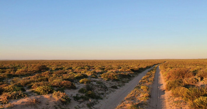 Die mooi in die niks van Namakwaland