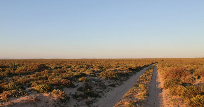 Die mooi in die niks van Namakwaland