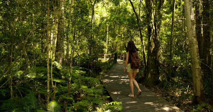 Langpadreis: 10 Lekke stopplekke tussen Kaapstad en PE!