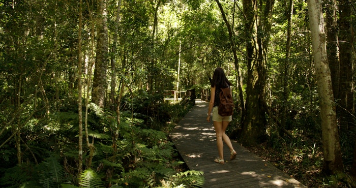 Langpadreis: 10 Lekke stopplekke tussen Kaapstad en PE!