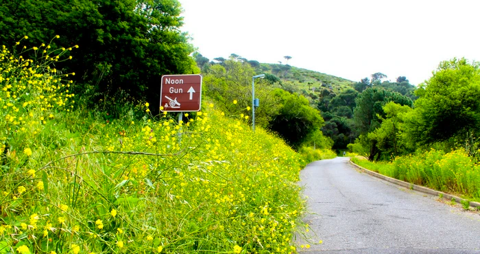 Your Guide to Cape Town’s Noon Gun