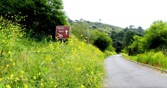 Your Guide to Cape Town’s Noon Gun