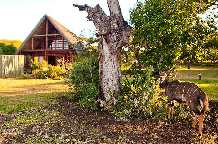 Rhino River Lodge, KZN