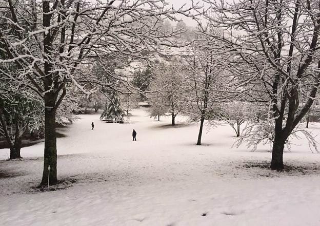 Meadow Lane Country Cottages