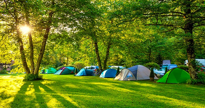 Onthoulysie vir ’n KAMPioenwegbreek …