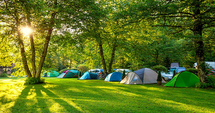 Onthoulysie vir ’n KAMPioenwegbreek …