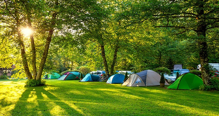 Onthoulysie vir ’n KAMPioenwegbreek …