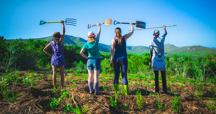 Experience Platbos at this year’s Reforest Fest