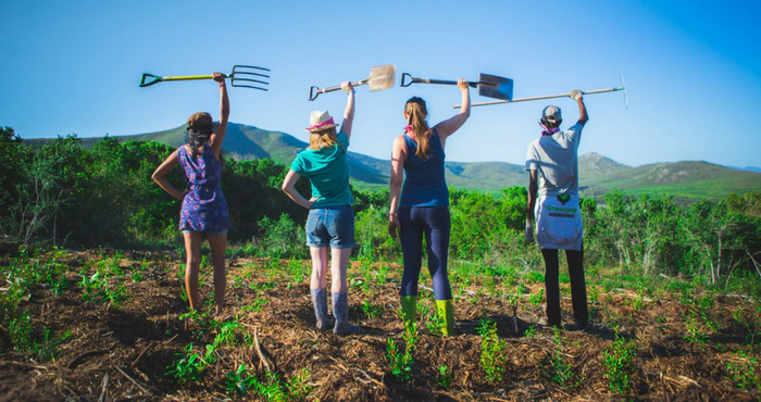 Experience Platbos at this year’s Reforest Fest