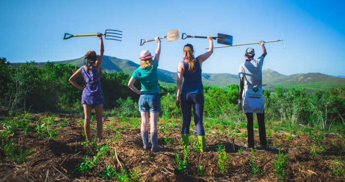 Experience Platbos at this year’s Reforest Fest