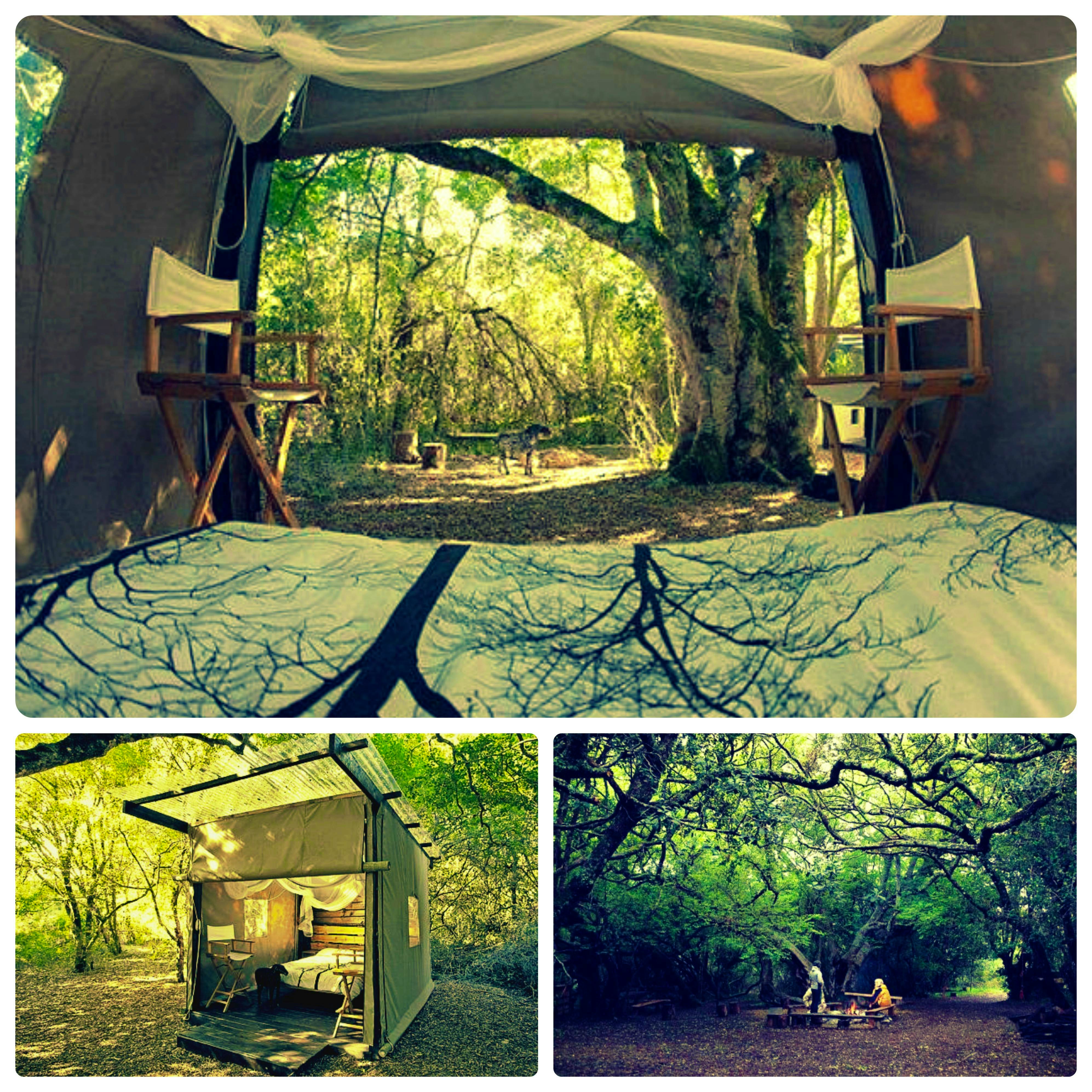 Stay at Platbos Forest