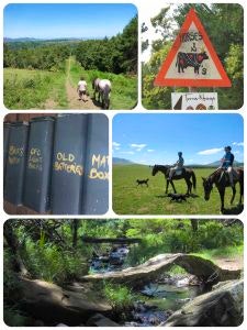 A few classic Hogsback snapshots (Flickr-collage 2)