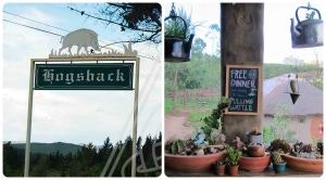 The entrance to Hogsback and a playful sign in a backpackers (Collage 1)