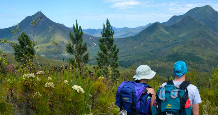Dapper en Stapper deur die Tsitsikamma